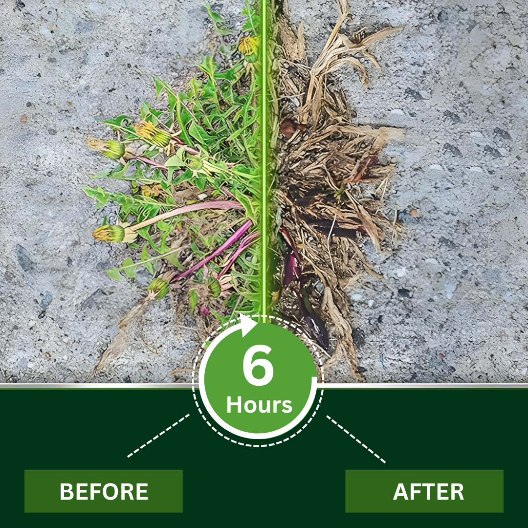 AEXZR® 2 in 1 Max Power Herbicide (𝟟𝟘% 𝕆𝔽𝔽 𝗘𝗡𝗗𝗦 𝗜𝗡 𝟭𝟬 𝗠𝗜𝗡𝗨𝗧𝗘𝗦)