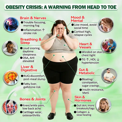 🇺🇸 𝐎𝐟𝐟𝐢𝐜𝐢𝐚𝐥 𝐔𝐒 𝐒𝐭𝐨𝐫𝐞 | 🧑‍⚕️🩺 Berberine × NAD+ 𝟏𝟎-𝐢𝐧-𝟏  𝐍𝐚𝐧𝐨 𝐌𝐢𝐜𝐫𝐨𝐧𝐞𝐞𝐝𝐥𝐞